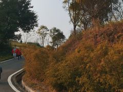 -德克士(砂之船奥特莱斯店)