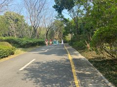 -深圳国际园林花卉博览园