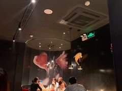 -老板恋上鱼(印象城店)