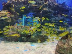 -海合安成都极地海洋公园