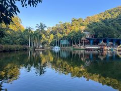 -西双版纳原始森林公园