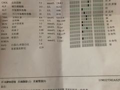 -瑞派福兴宠物医院犬猫全科·骨科·中西医结合(河东店)