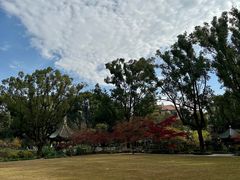 -申粤轩酒楼·三十年粤菜经典(丁香花园店)