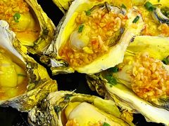 -土蚝·高压锅生蚝(百姓美食街店)