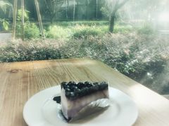 蓝莓芝士-麦田工坊(月湖店)