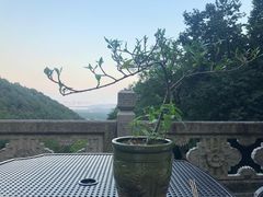 -韬光茶庵