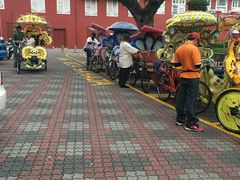 -荷兰红屋