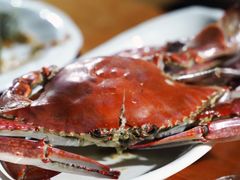 -胖大嫂渔家排档·全海景餐厅(渔村店)