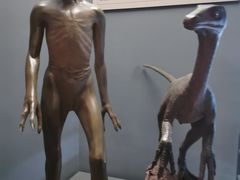 -贝林大翅鲸简餐厅(国家海洋博物馆店)