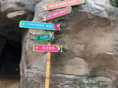 -杭州开元森泊度假乐园