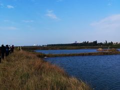-北海金海湾红树林生态旅游区