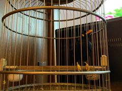 -四季厨房 鲁菜·孔府烤鸭(二环南路店)