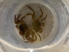 -粮心小农·大头虾亲子生态园(长发店)