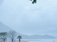 -杨梅坑