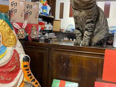 -正阳书局(西四南大街店)