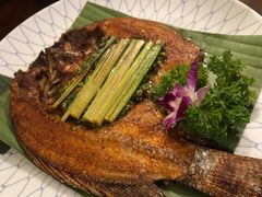 炭烤罗非鱼-紫滇源云南生态菜(丹凤街店)