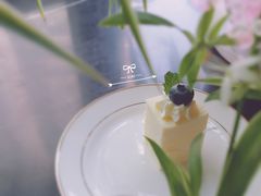 -Tomado绿色烘焙(大尧三路店)
