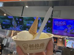 -极拉图·现制冰淇淋(大卫城店)
