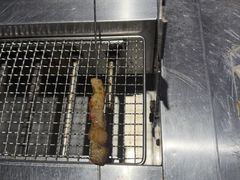 -橦橦小马扎烧烤 (传媒大学店)