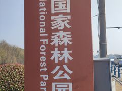 -合肥滨湖国家森林公园
