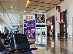 -达拉斯 沃斯堡国际机场