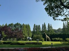 -棒棰岛宾馆景区