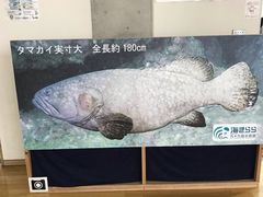-西海国立公园九十九岛水族馆