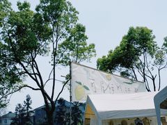 -龙坞茶村