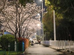 -华中科技大学光谷体育馆