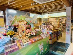 -猫的天空之城概念书店(丽江古城饮玉巷店)