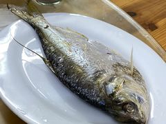 -龙眼南白粥六顺白粥