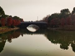 -上海海湾国家森林公园