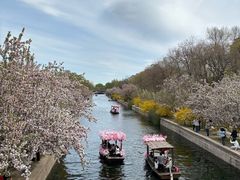 -元大都城垣遗址公园