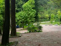 -金山植物公园