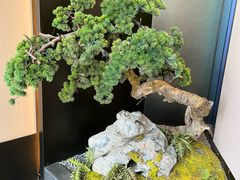 -杏花堂晋商私房菜(华熙五棵松店)