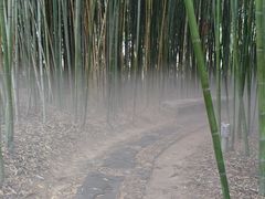 -竹泉村旅游度假区