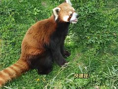 -西安秦岭野生动物园