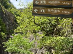 -洛阳白云山景区
