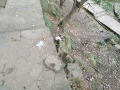 -黔灵山公园