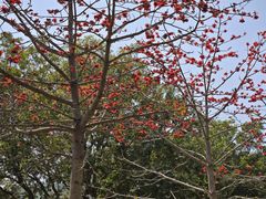-风云岭森林公园