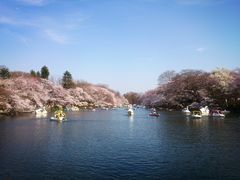 -井之头恩赐公园