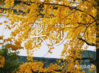 最美的时节已到来长沙这条巷子美到词穷️