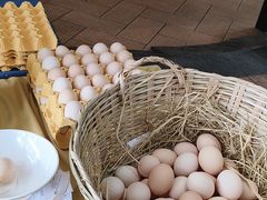 -伯乐居茶艺馆(石岐大信店)