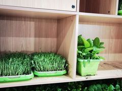 -东椰·海南椰子鸡火锅(朝阳门店)