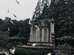 -音乐台