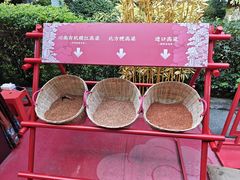 -泸州老窖景区