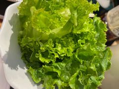 -杨记齐齐哈尔烤肉(五莲路店)