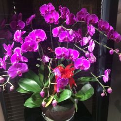 -Face Score美甲美睫皮肤管理