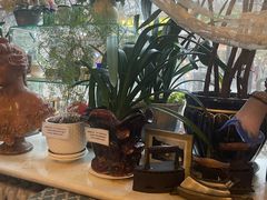 -露西亚咖啡西餐厅(哈尔滨俄侨纪念馆店)