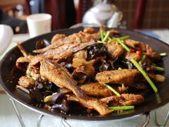 铁锅小黄鱼-洛阳面馆(红专路店)